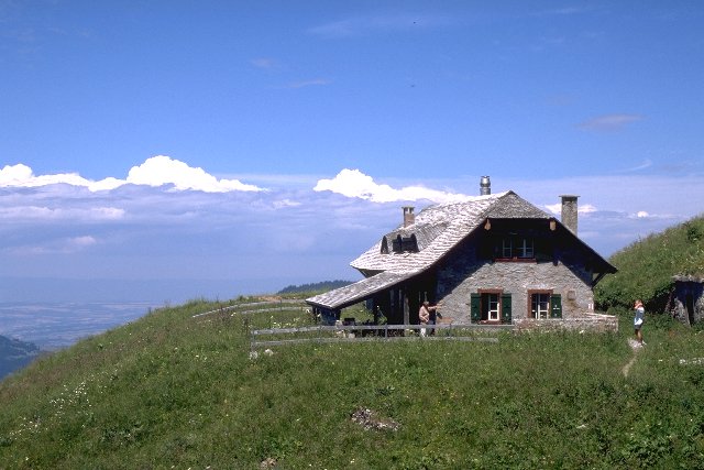 Cottage